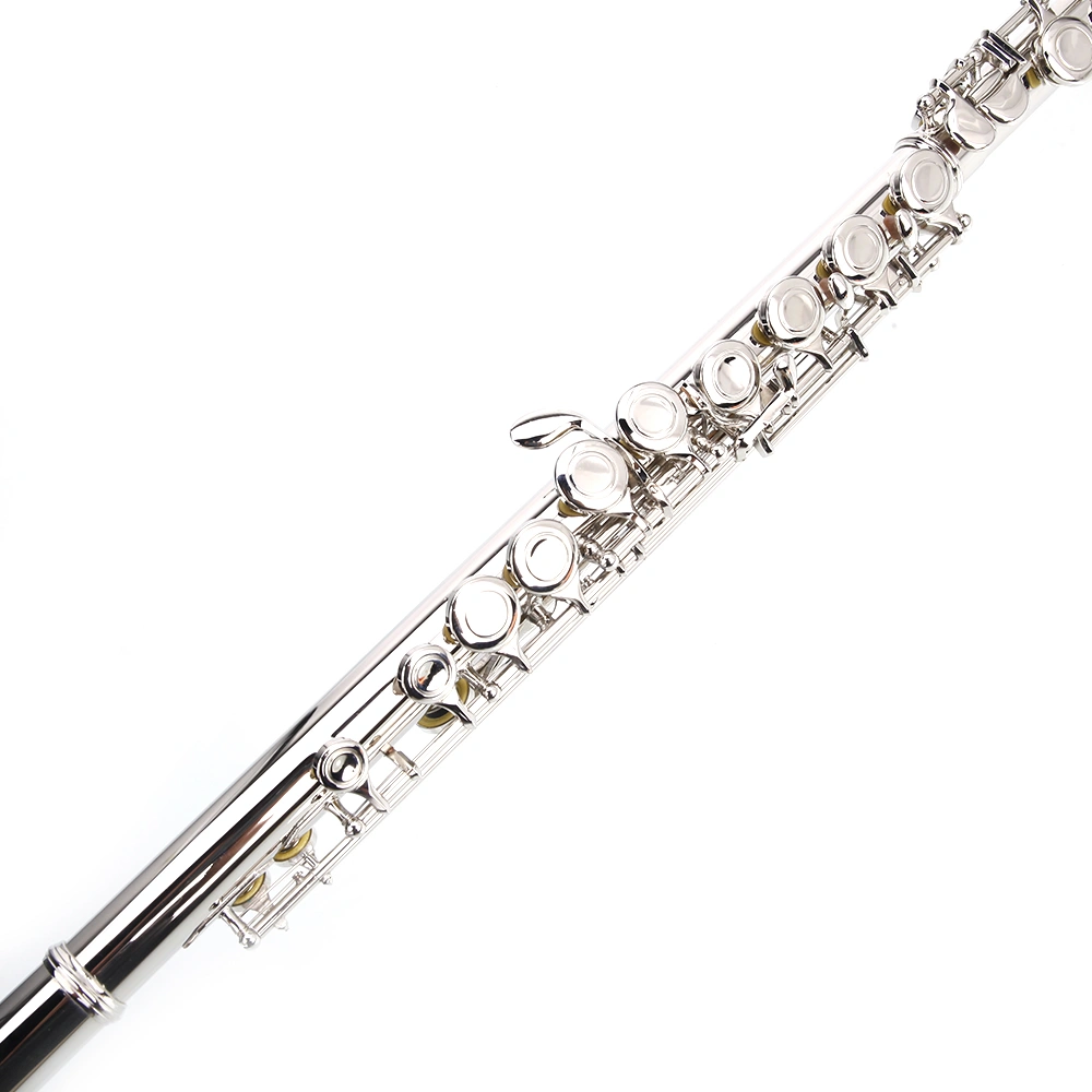 Nickel Plated C Closed Hole Concert Band Flute Silver view 3