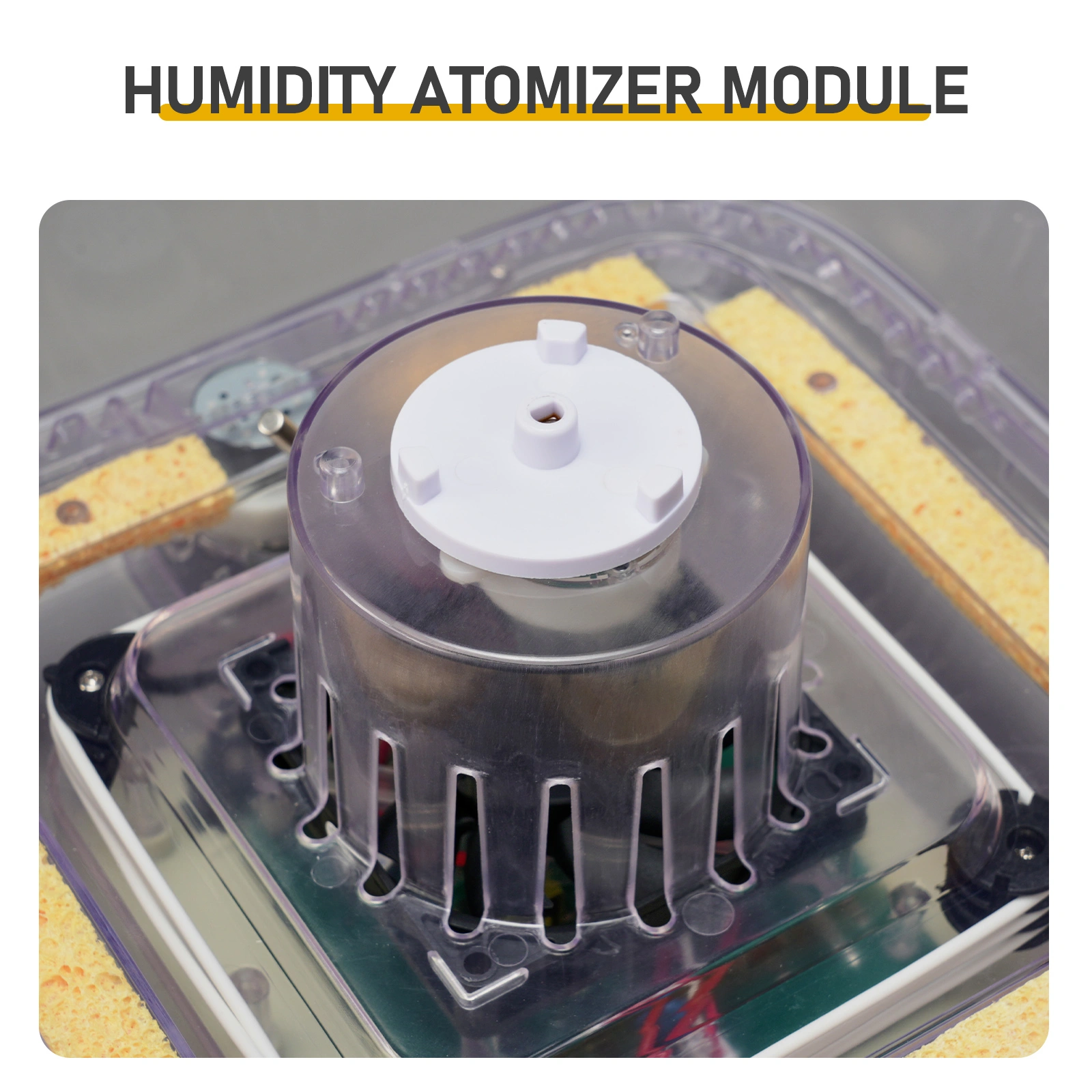 US Standard FYY-12 Egg Incubator, 110V, ≤35W, 12 Eggs Capacity, Square & Round Tray, Equipped with 1 Water Bottle, Grass Green Body with Transparent Top Cover, ABS & PET Material. Upgraded LED Egg Candling Function, Fully Automatic Egg Turning, Fahre view 7