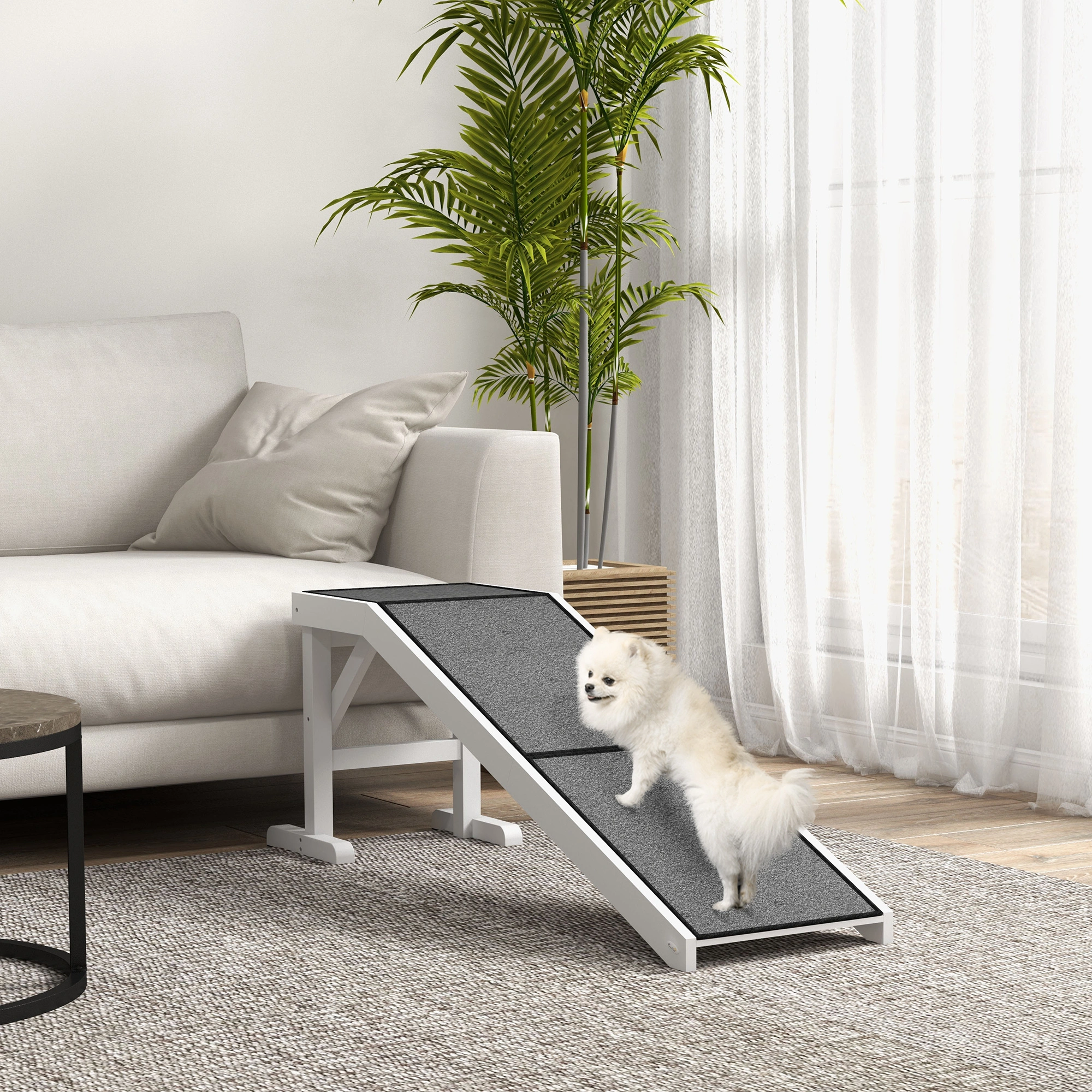 Dog Agility Ramp ,Pet Seesaw