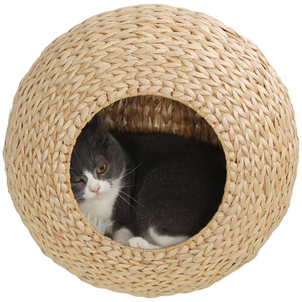 Cat Tree Condo Shelf with Cozy Bed Platform, Multi-Level Cat Tower for Kittens and Small Cats view 6