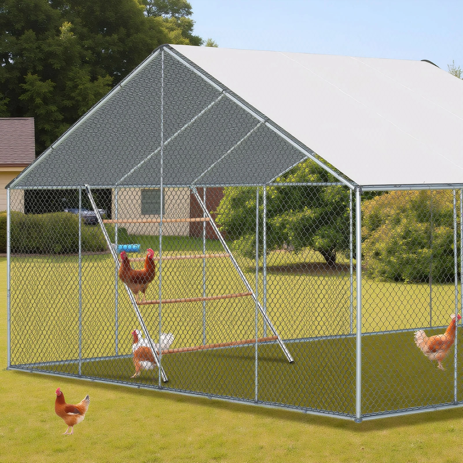 104*143cm Outdoor chicken perch view 5