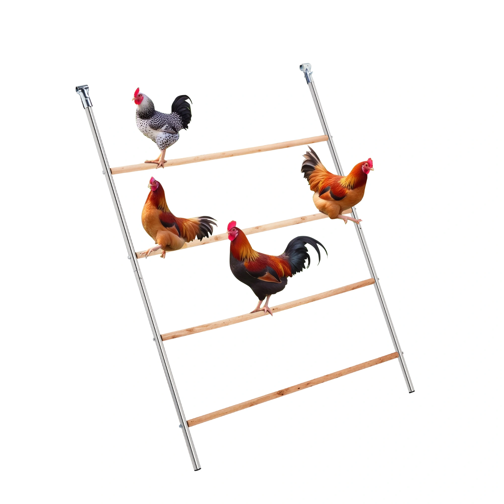 104*143cm Outdoor chicken perch view 9