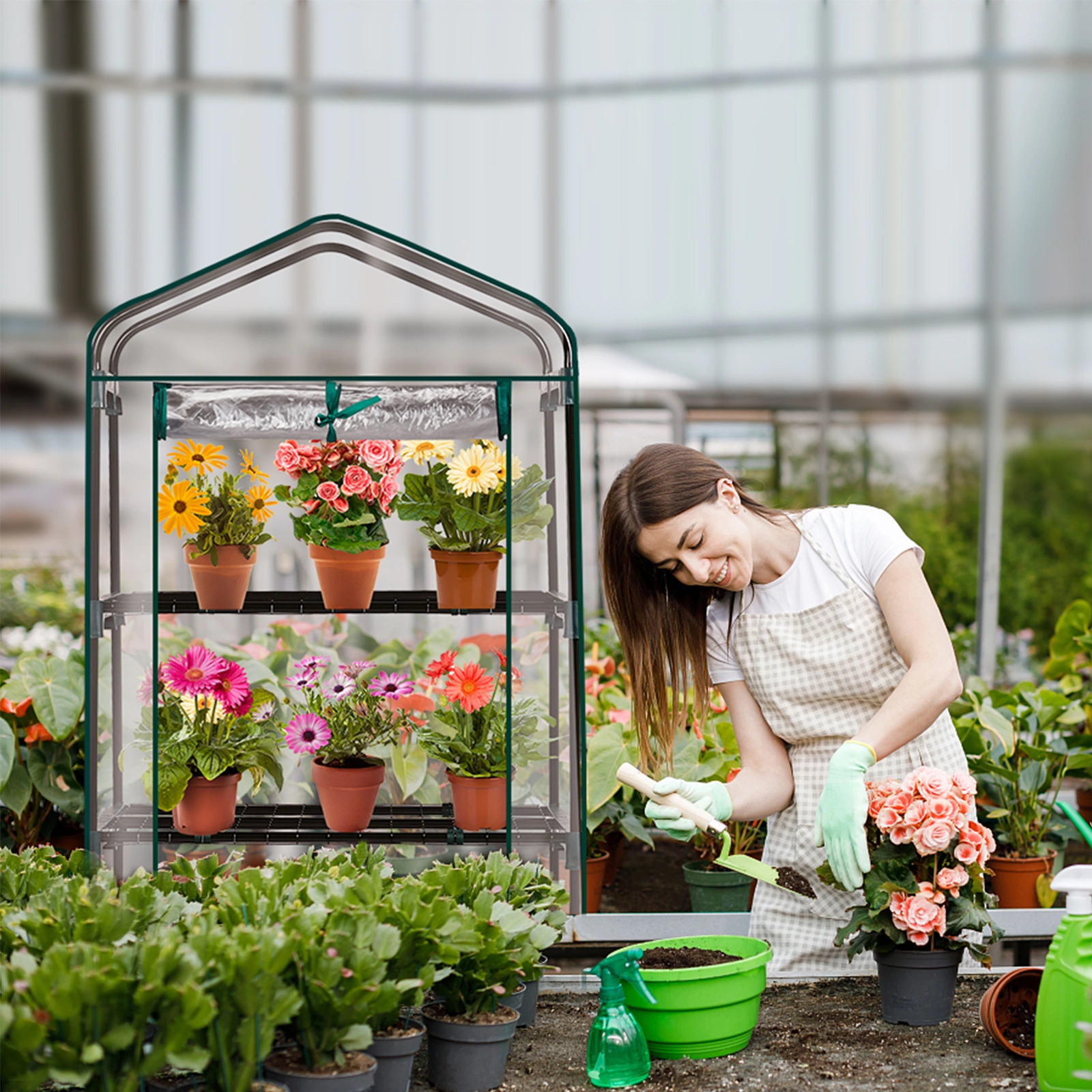 4 Tier Mini Greenhouse with PVC Cover & Roll-Up Zipper Door, Portable Waterproof Greenhouse for Garden Backyard, 27" x 19" x 62", Transparent view 12