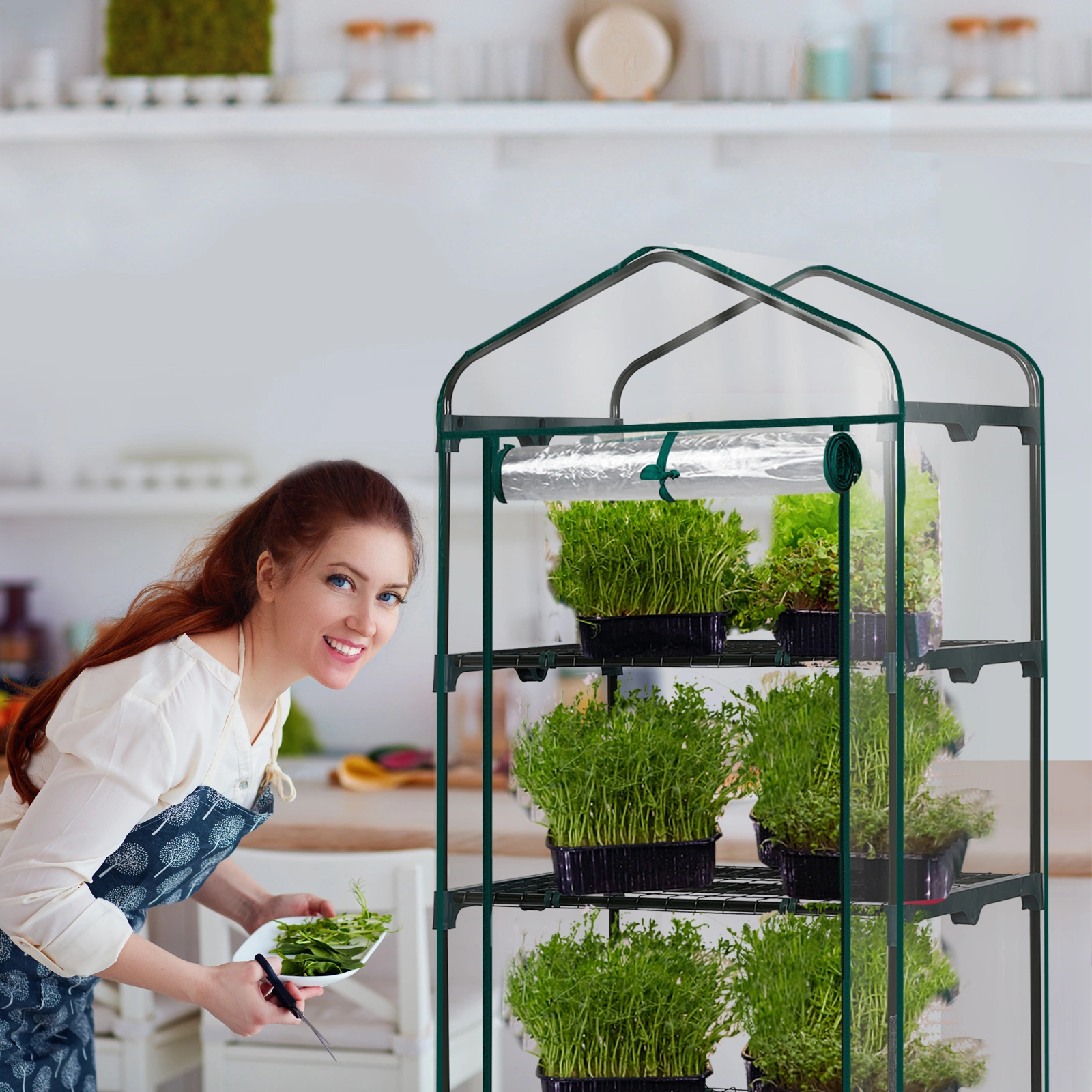 4 Tier Mini Greenhouse with PVC Cover & Roll-Up Zipper Door, Portable Waterproof Greenhouse for Garden Backyard, 27" x 19" x 62", Transparent view 15