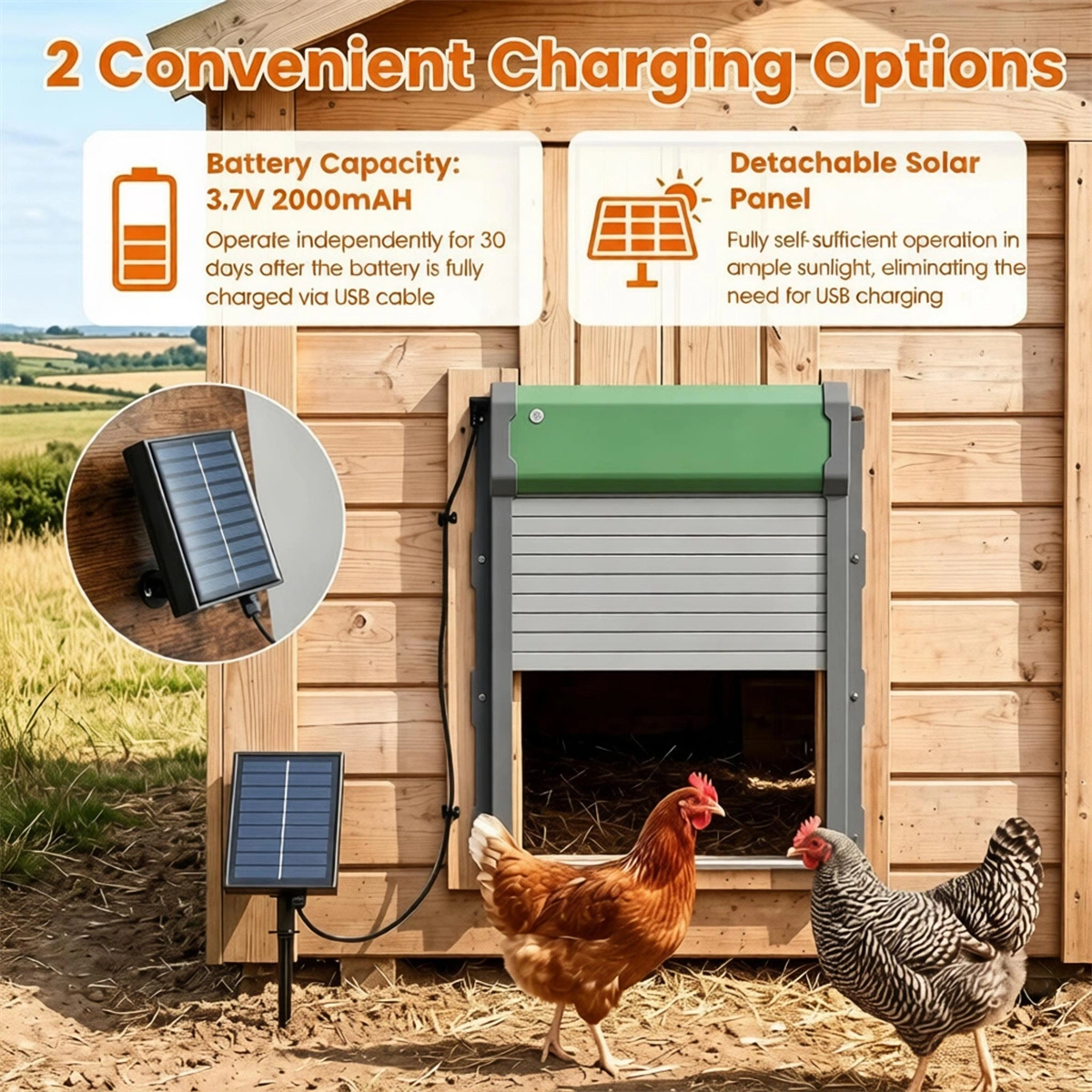Solar Powered Automatic Chicken Coop Door with 4 Modes Light Sensor Timer Remote Control, Anti-Pinch Weatherproof Aluminum Opener for Chickens Ducks Rabbits Poultry view 8