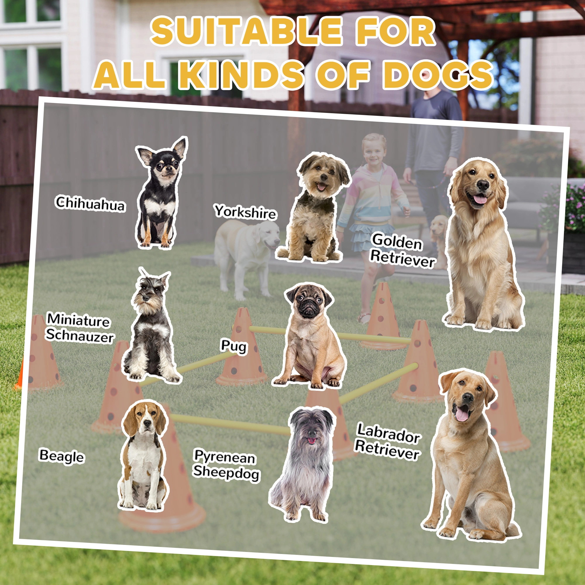 Dog Agility Cones 8 Pack - Set of 8 Training Cones for Dogs, Pet Agility Course Equipment with Carry Bag for Obedience Training view 5