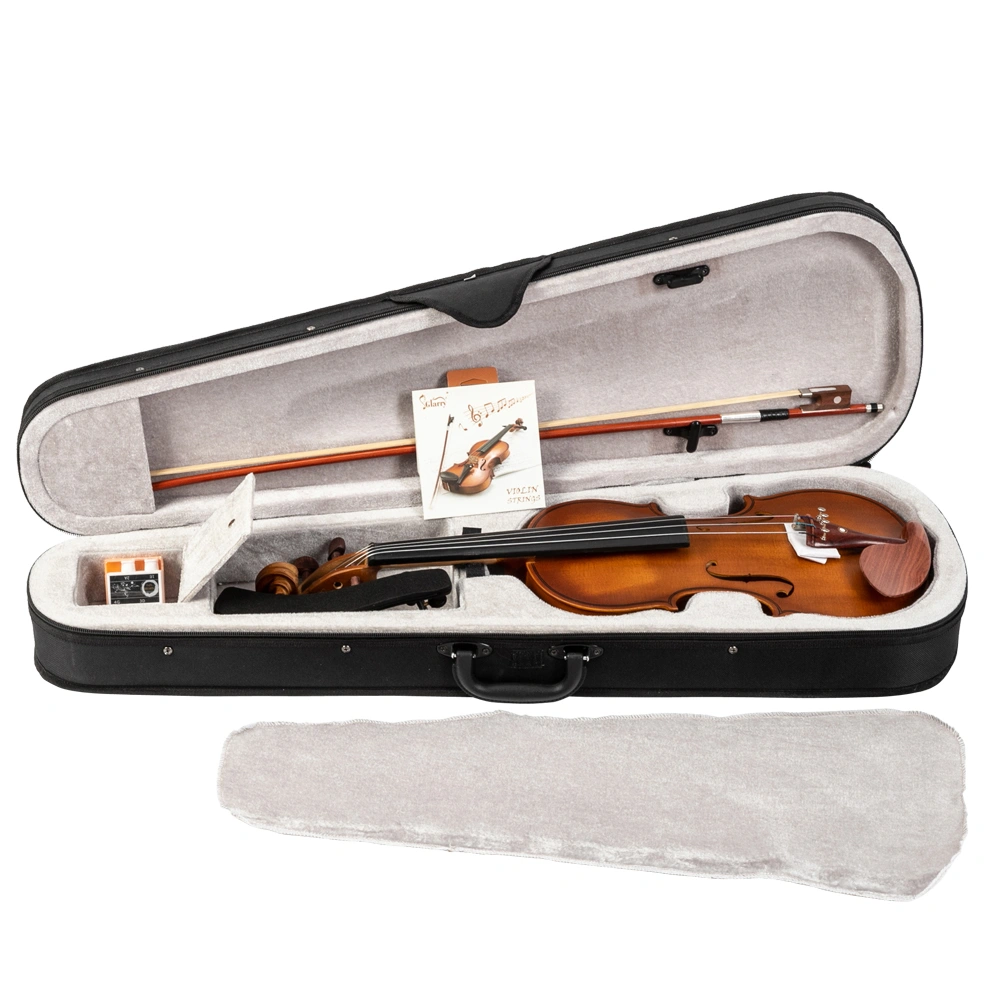 GV103 4/4 Spruce Panel Violin Matte Natural view 10