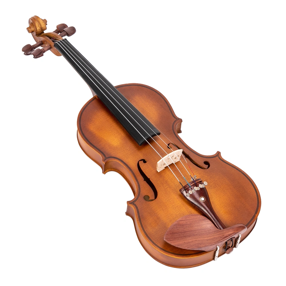 GV103 4/4 Spruce Panel Violin Matte Natural view 17