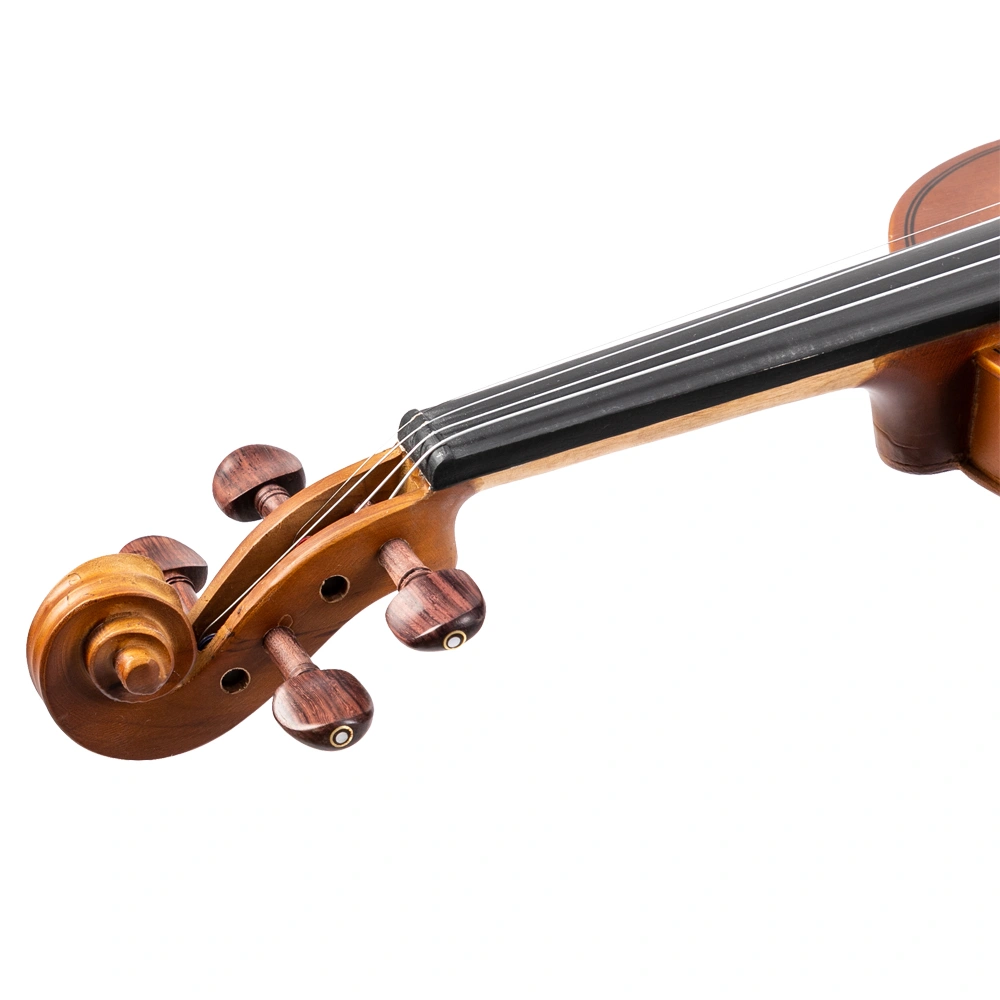 GV103 4/4 Spruce Panel Violin Matte Natural view 19