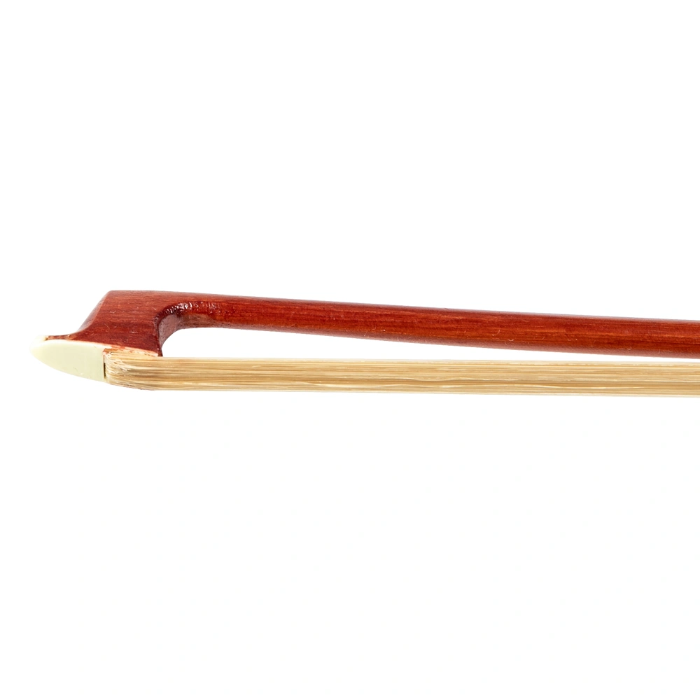 GV103 4/4 Spruce Panel Violin Matte Natural view 20