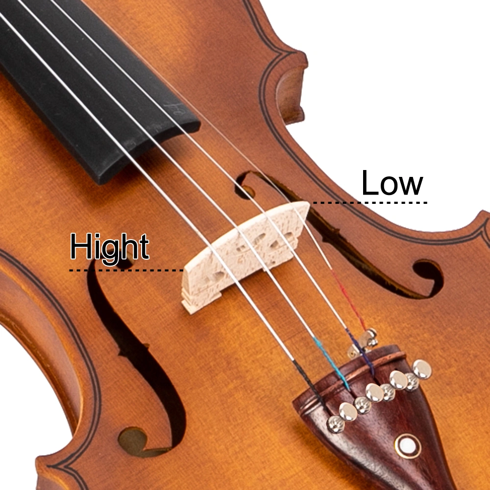 GV103 4/4 Spruce Panel Violin Matte Natural view 22