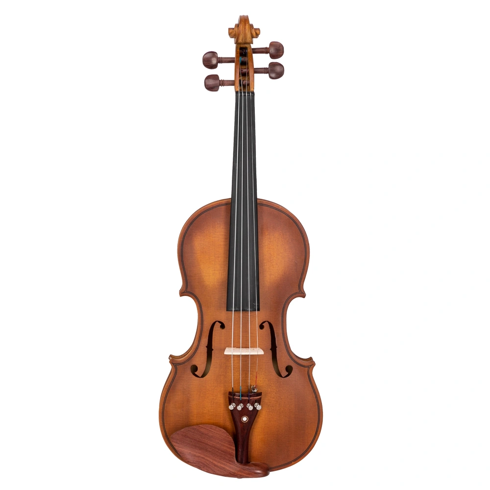 GV103 4/4 Spruce Panel Violin Matte Natural view 3