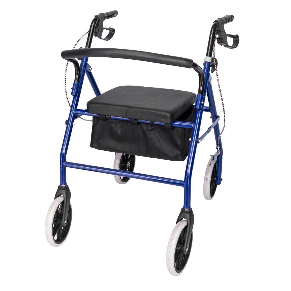Iron Walking Frame with Wheels - Mobility Aid Walker, Black & Blue view 3