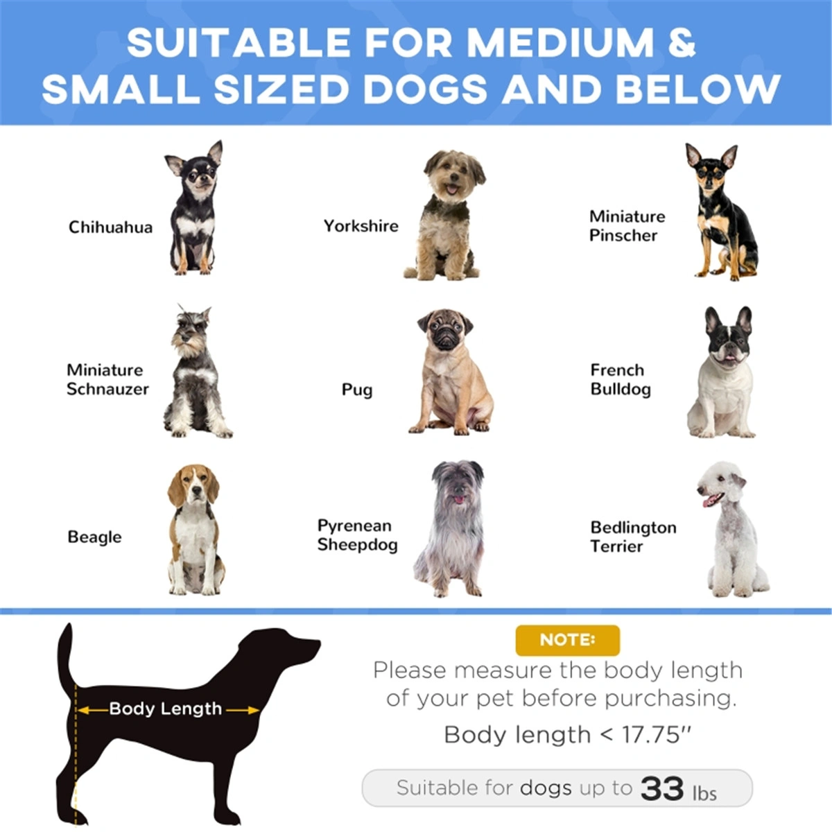 Premium Cat Bed & Dog Cot - Soft Comfortable Pet Bed with Raised Edges, Washable Cozy Pet Crate Mat for Small Medium Dogs & Cats view 3
