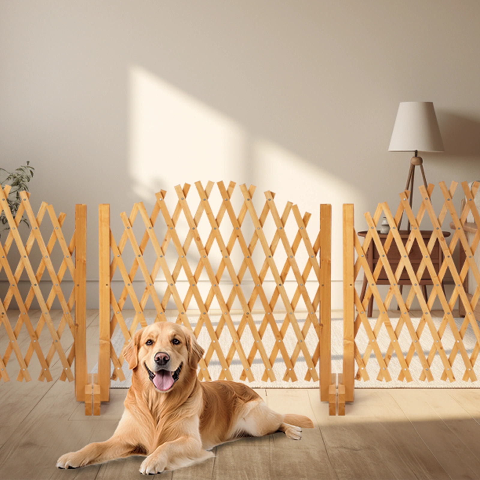 Set of 2 Retractable Arched Wooden Fences - 205 x 33.5 x 80 cm - Teak Finish (Stained) - Fir Wood Construction view 4
