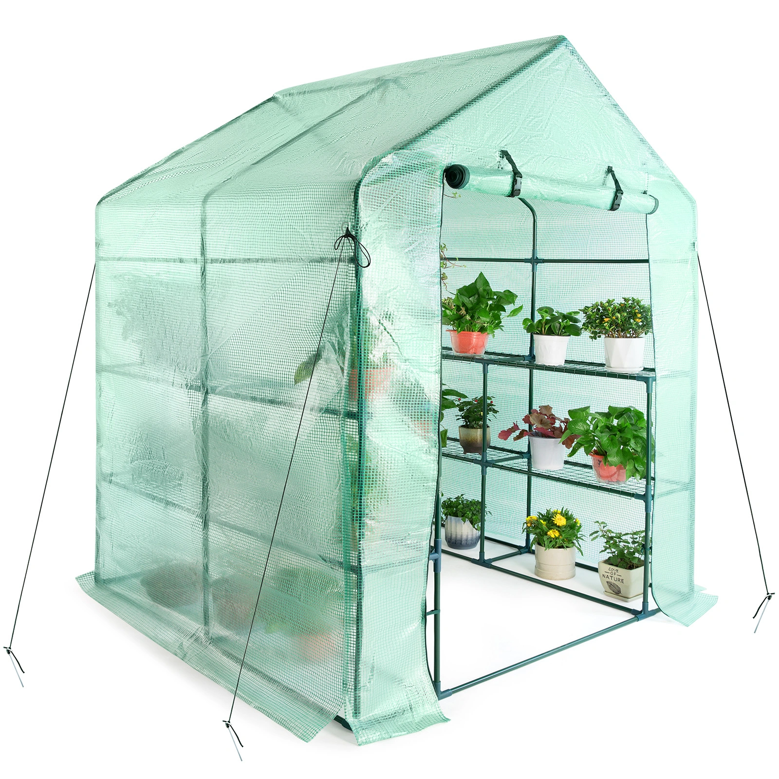 Walk In Garden Greenhouse - Polycarbonate Walkthrough Plant House with Ventilation view 2