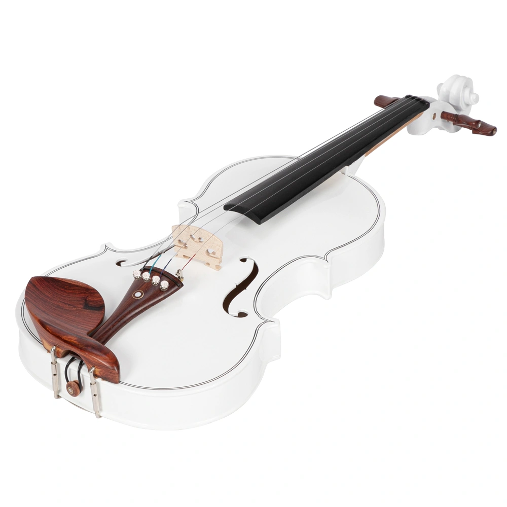 GV103 4/4 Spruce Panel Violin Matte White view 14