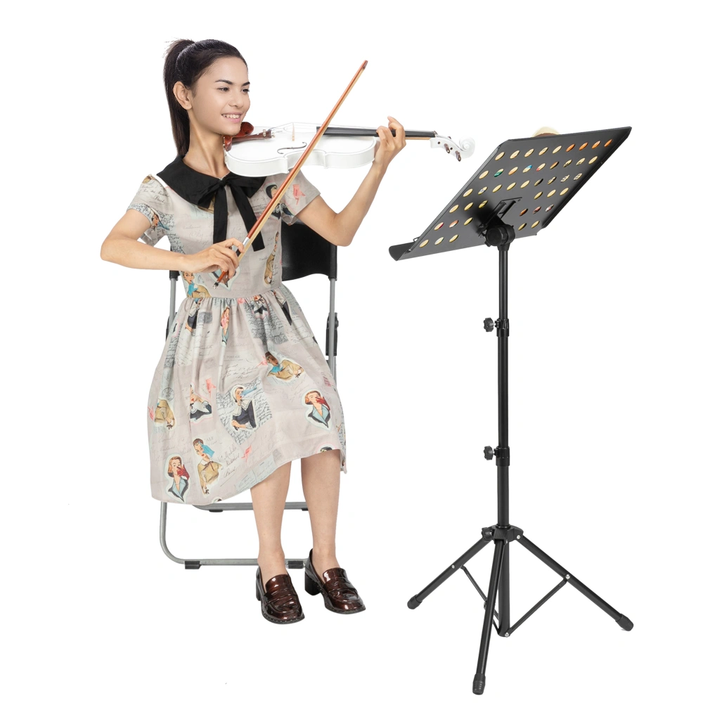GV103 4/4 Spruce Panel Violin Matte White view 16