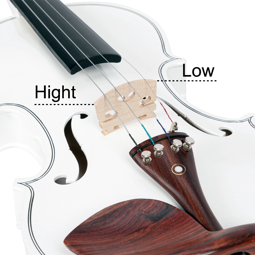 GV103 4/4 Spruce Panel Violin Matte White view 3