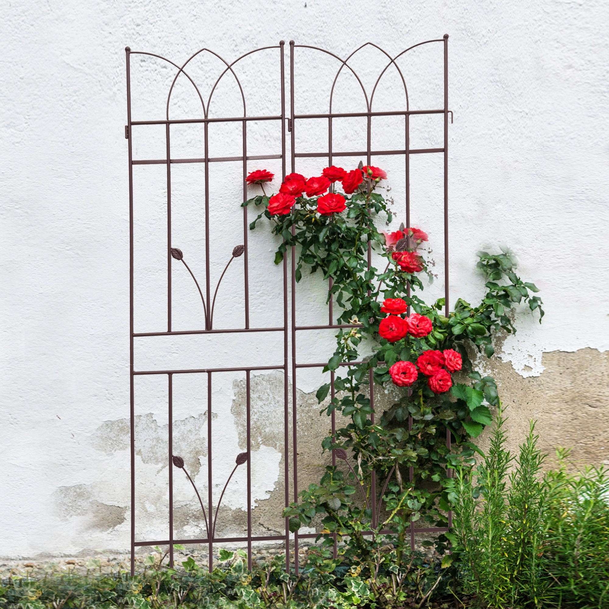 4 Pack Metal Garden Trellis 71" x view 13