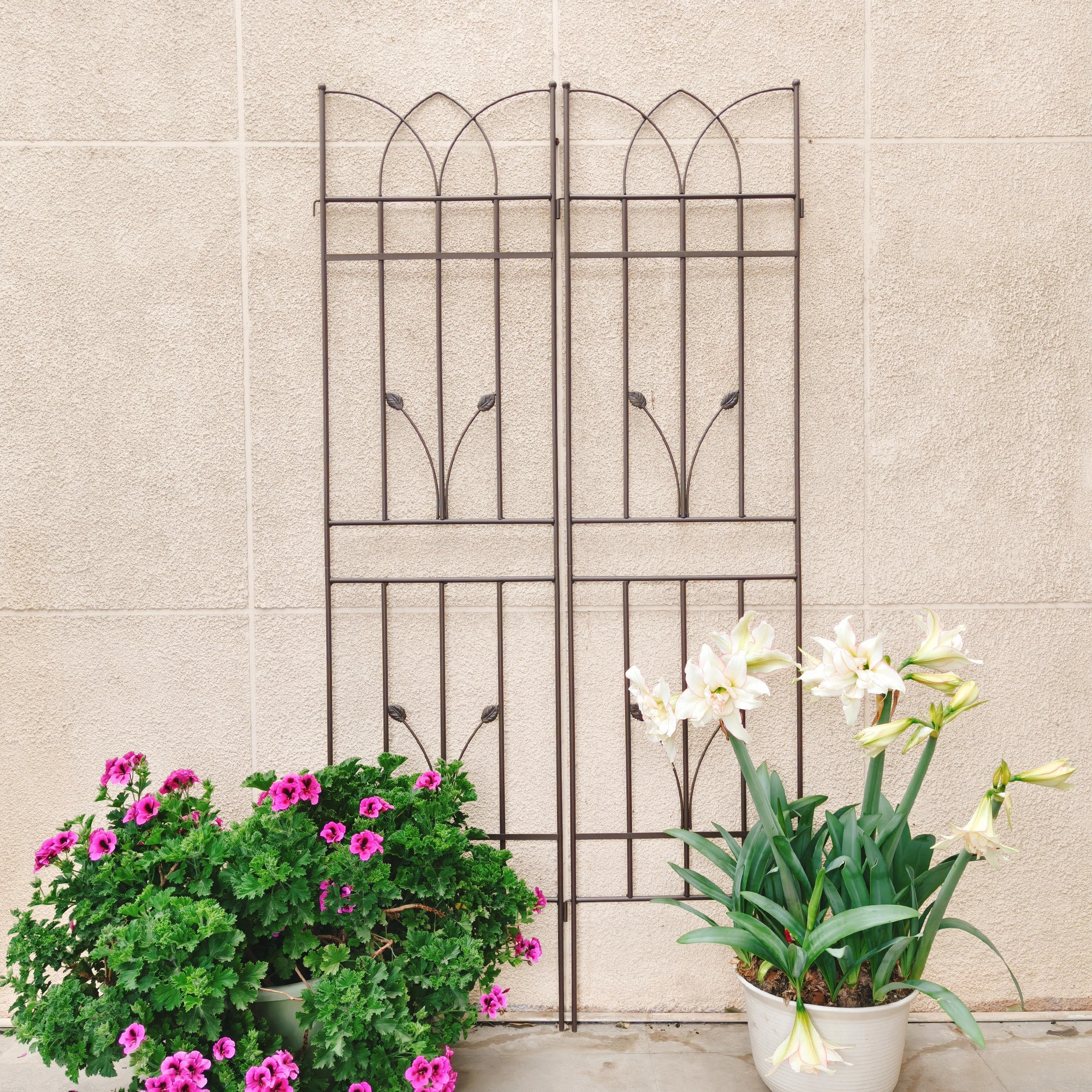 4 Pack Metal Garden Trellis 71" x view 17