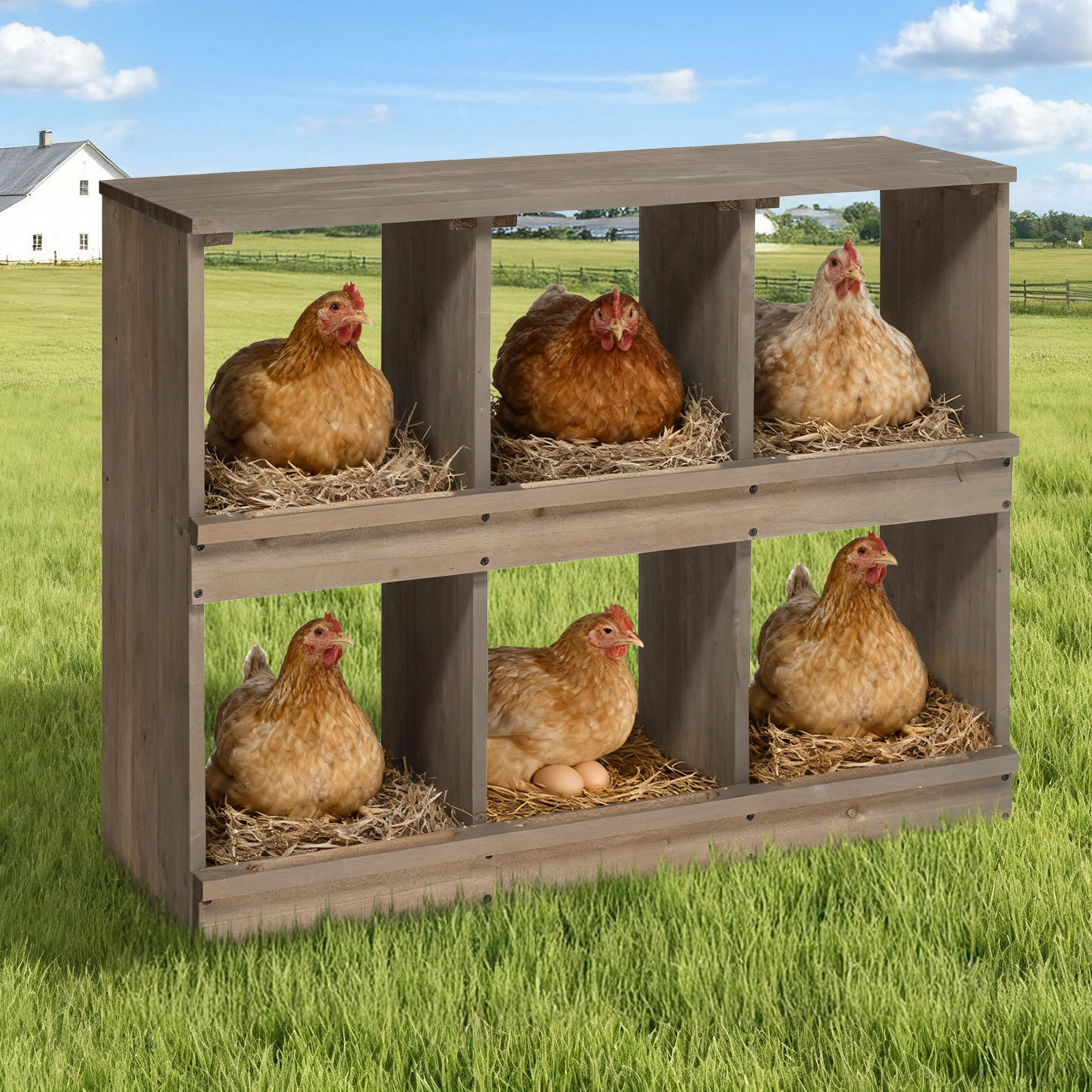 Nesting Boxes for Chickens, Wooden Chicken Nesting Box, Laying Eggs Nest Box for Chickens Hens Ducks, Gray, 6 Compartments view 5