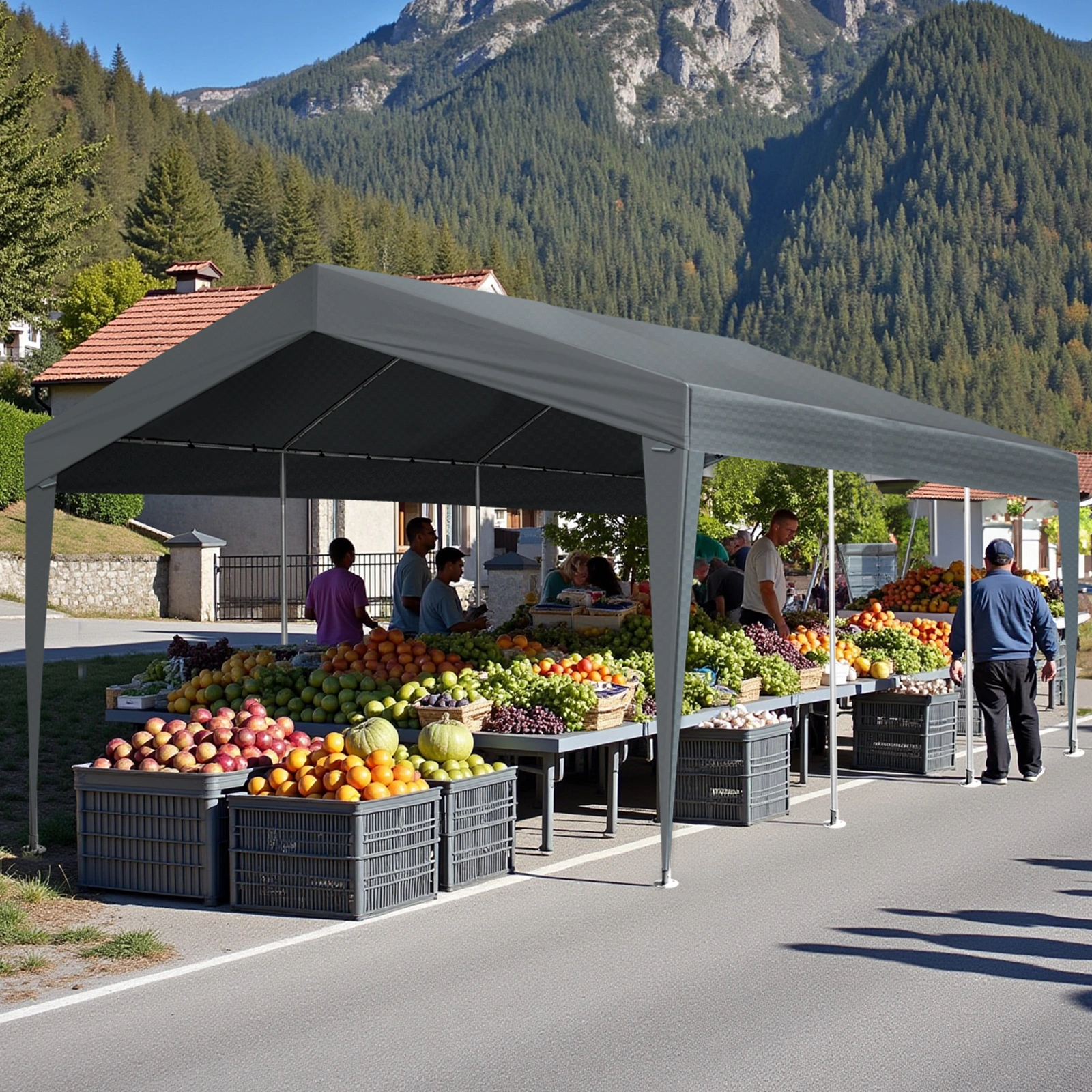 12x20 ft Carport Car Port Canopy Grey view 10