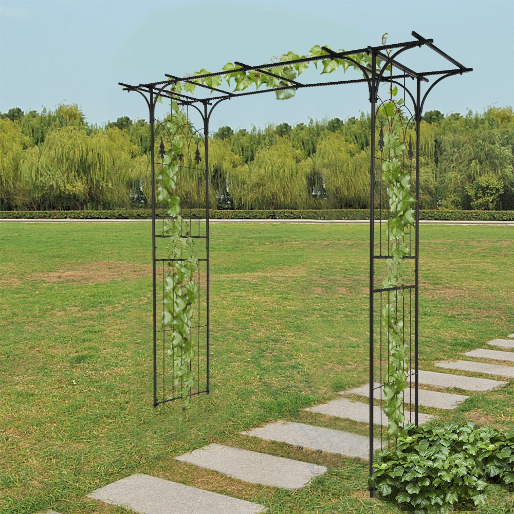 Flat Roof Wrought Iron Arches Plant Climbing Frame view 47