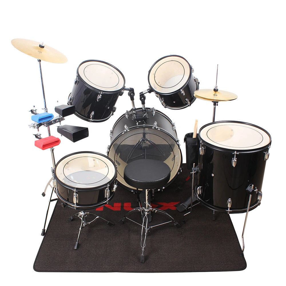 Drum Heads (22", 16", 14", 13", 12") Transparent view 11
