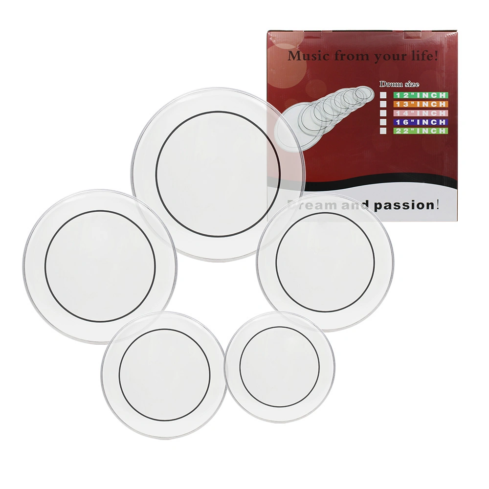 Drum Heads (22", 16", 14", 13", 12") Transparent view 5