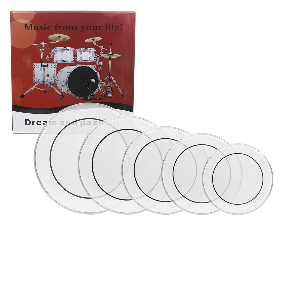 Drum Heads (22", 16", 14", 13", 12") Transparent view 9