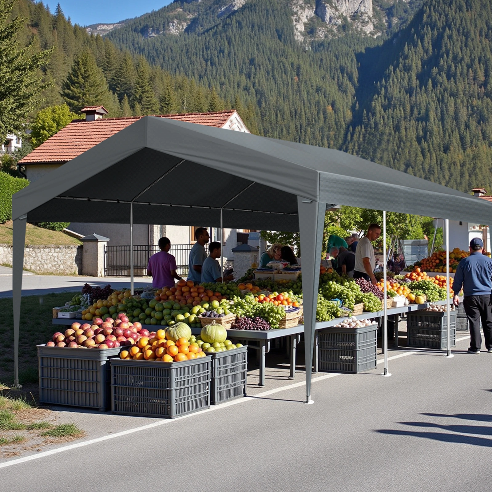 10X20FT Carport Car Port Canopy Grey view 11