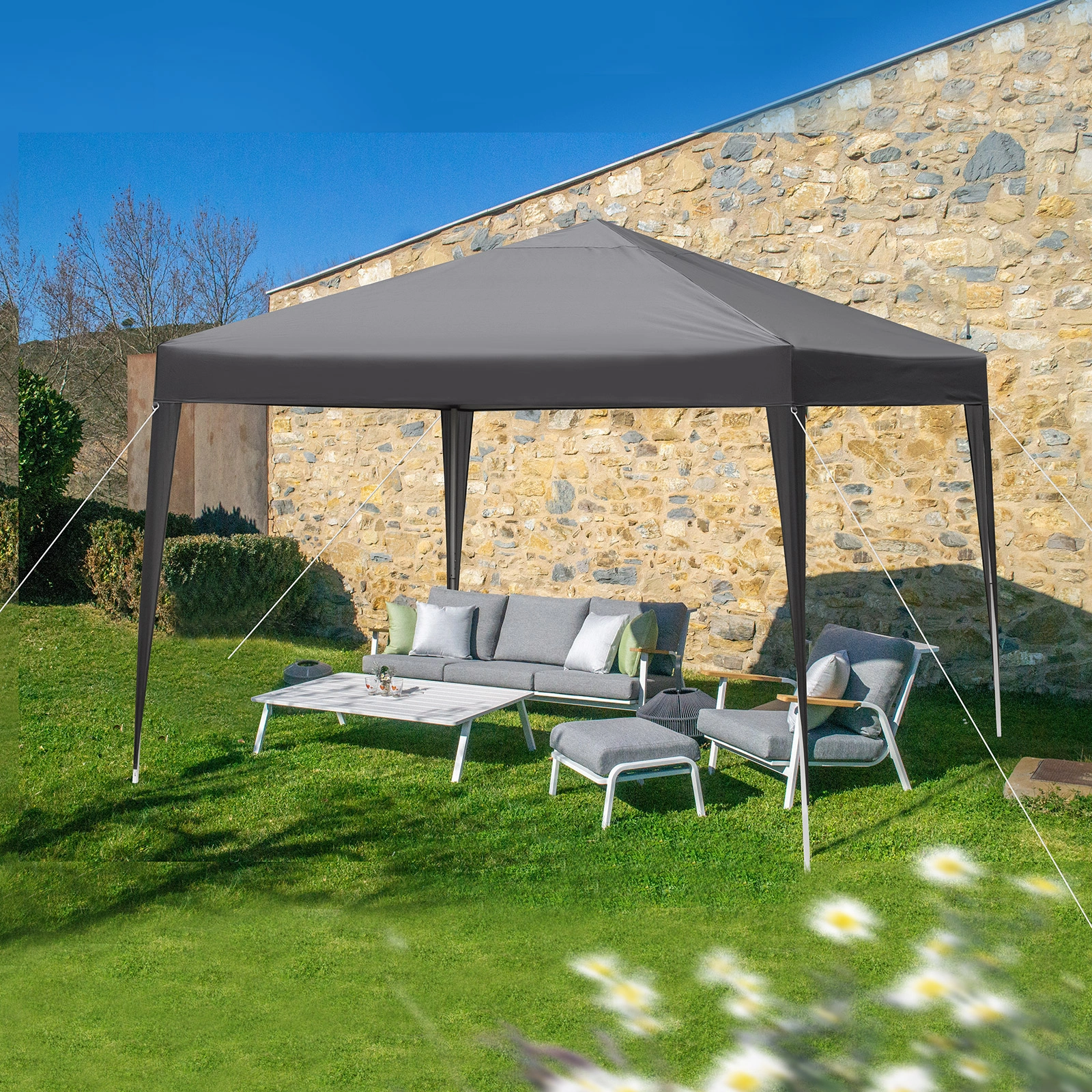 10'x10' Pop Up Canopy view 23