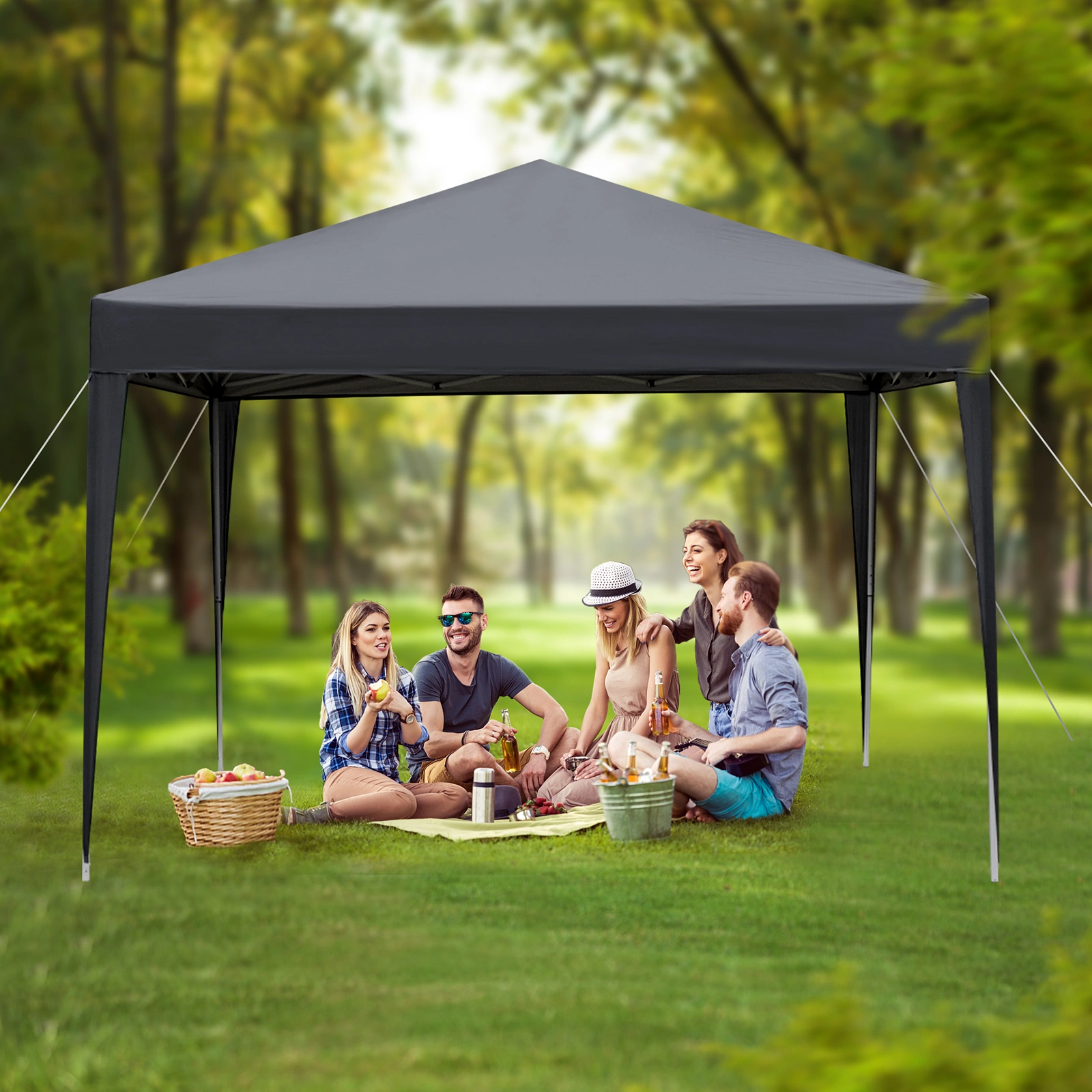 10'x10' Pop Up Canopy view 25
