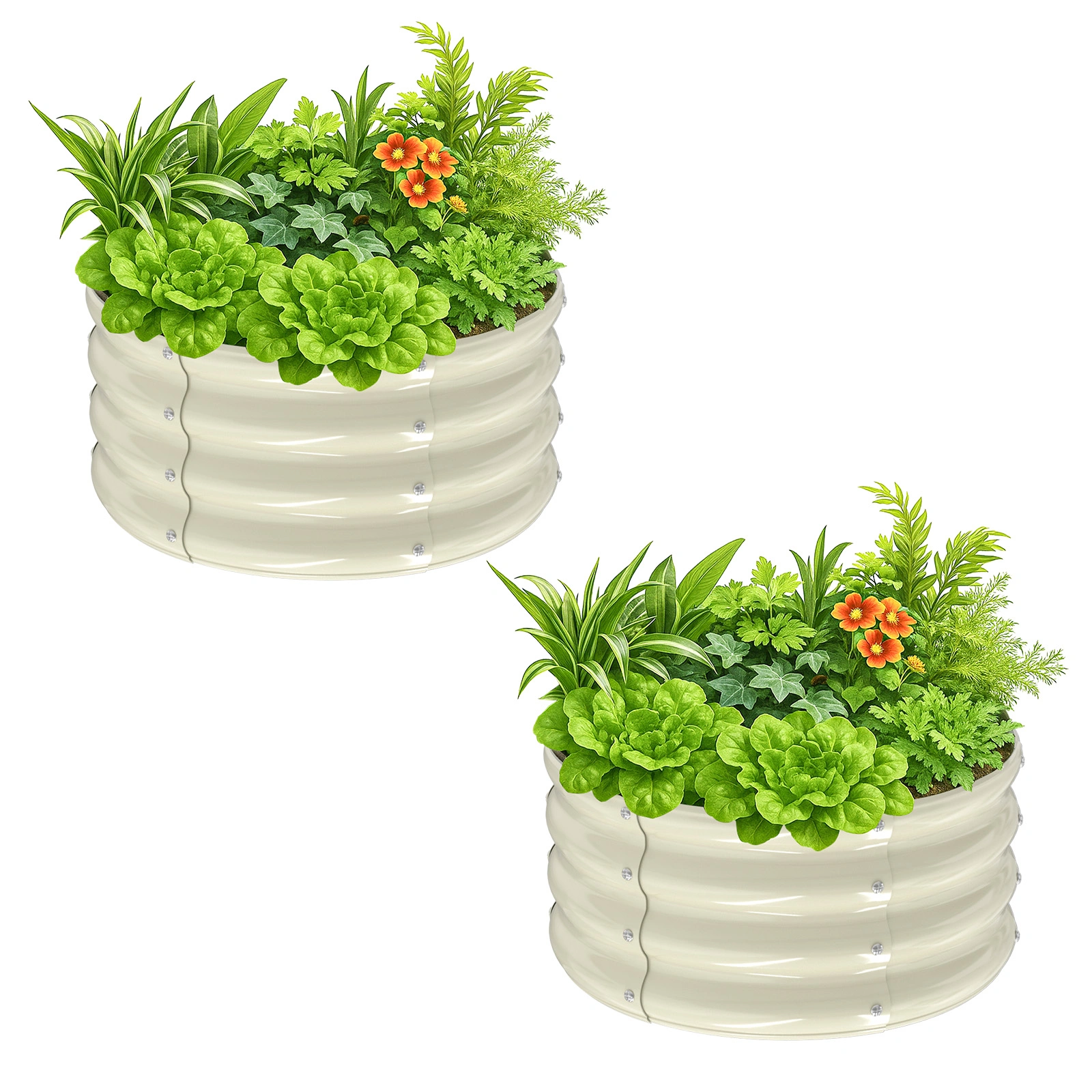 2 Pcs 2×2×1ft Raised Garden Bed, Round Galvanized Outdoor Planter Box, Metal Garden Bed for Planting Vegetables Fruits Flowers, White view 8