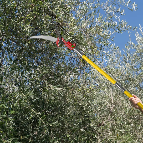 24ft Manual Pole Saw, Lightweight Tree Trimmers Long Handle Pruner Set, Sharp Steel Blade and Scissors Pole Saw for Trimming Palm, Pear Tree, Fir Tree, Other High Trees and Shrubs view 4