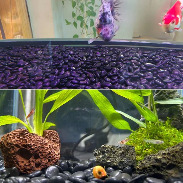 ​​38lbs Black River Rocks, 2-3 inch Polished Pebbles for Plants, Vase Filler, Aquarium, Landscaping, Indoor/Outdoor Decor view 4