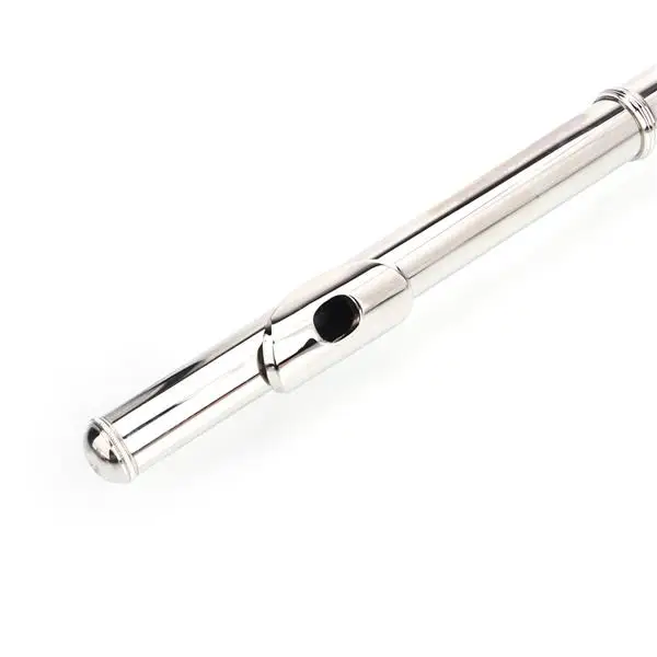 Nickel Plated C Closed Hole Concert Band Flute Silver view 4