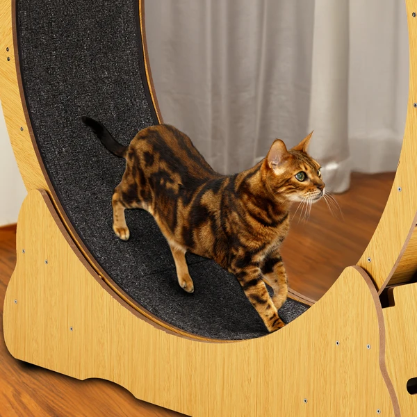 Cat Wheel Exerciser for Indoor Cats, 39.4-inch Large Cat Exercise Wheel for Running Silent, Cat Treadmill with Safety Lock for Cat's Fitness and Health, Natural Wood view 6