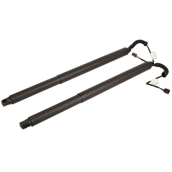2Pcs Rear Left Right Power Lift Gate Cylinder Struts Fit for 2015-2019 Nissan Murano 3.5L view 2