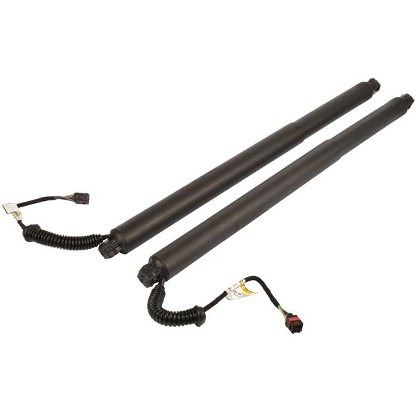 2Pcs Rear Left Right Power Lift Gate Cylinder Struts Fit for 2015-2019 Nissan Murano 3.5L view 6