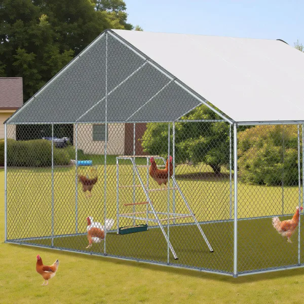 103*50*100cm Outdoor chicken perch view 6