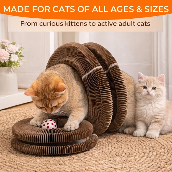 Kitty Curls Cat Toy - Foldable Accordion Cat Scratcher withBall - Magic Organ Cat Scratch Board for Interactive Play -Calming Features view 3
