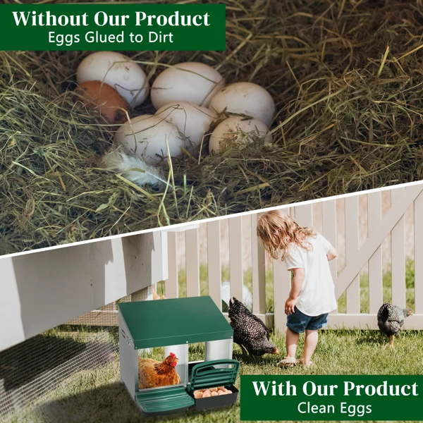 2 Compartment Roll Out Chicken Nesting Box with Plastic Basket, Egg Nest Box Chicken Laying Box Hens Chicken Coop Box, Green view 4
