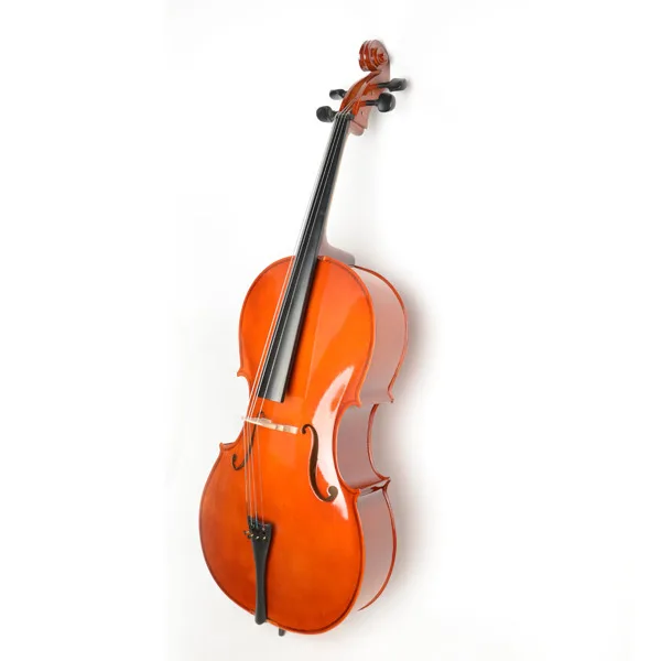 4/4 Retro Style Cello Case Bow Rosin view 4