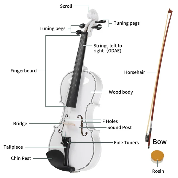 【Do Not Sell on AmazonFull Size 4/4 Violin Set for Adults Beginners Students with Hard Case,Violin Bow,Shoulder Rest,Rosin,Extra Strings and Sordine view 4
